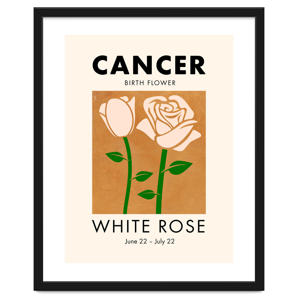 Cancer Birth Flower White Rose