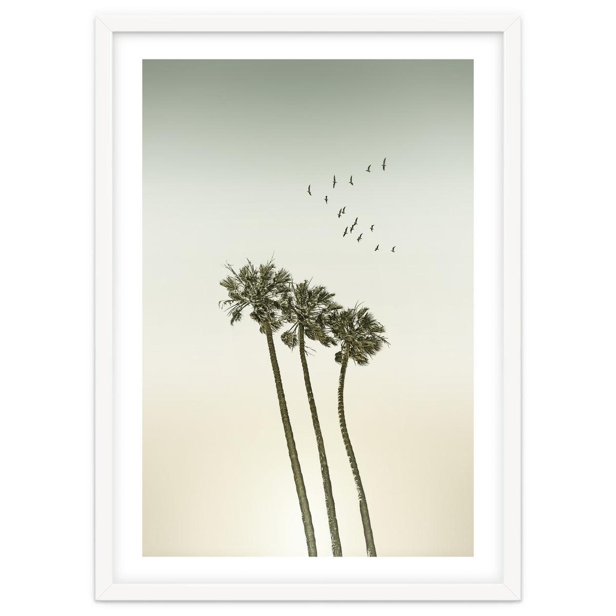 Vintage palm trees at sunset