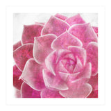 Rough Beauty 4 (Print Only) thumbnail