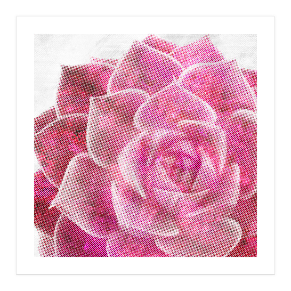 Rough Beauty 4 (Print Only)