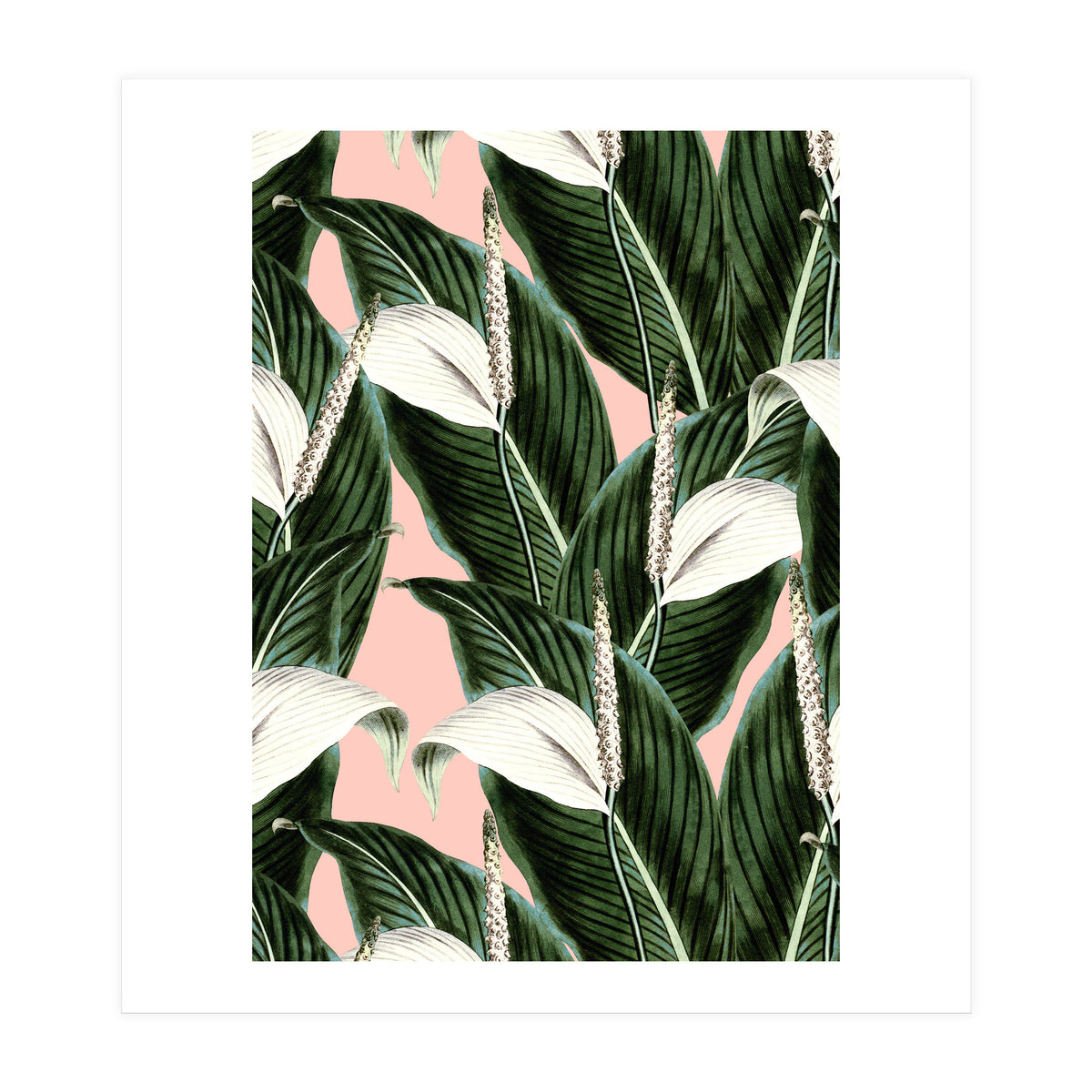 Sweet floral Pothos (Print Only)