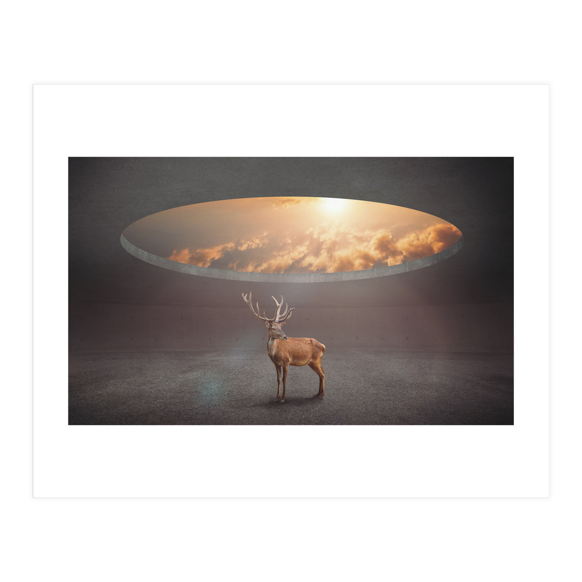 Display Ring (Print Only)