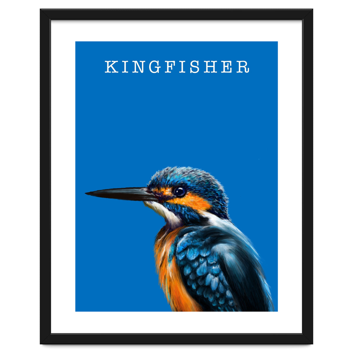 Kingfisher