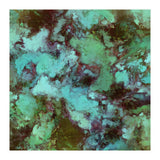 Organic Decay (Print Only) thumbnail