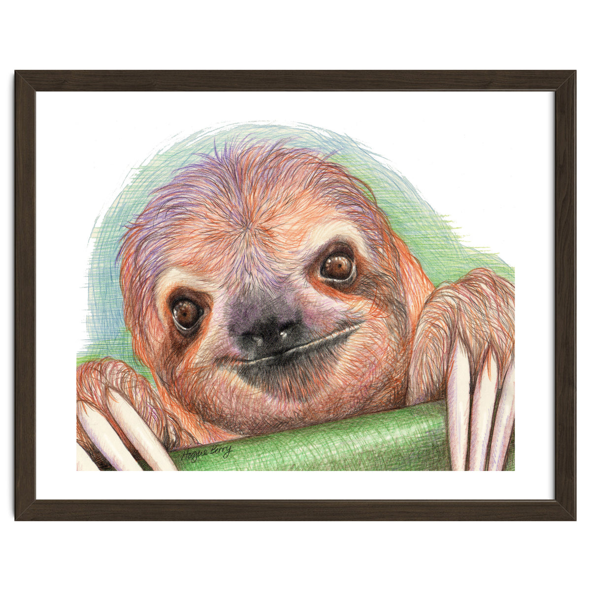 Smiling Sloth
