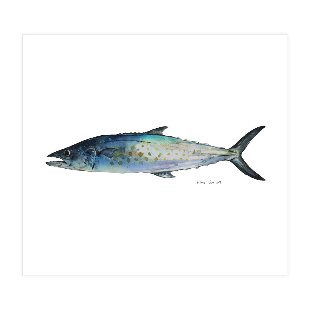 Fish Sierra (Print Only)