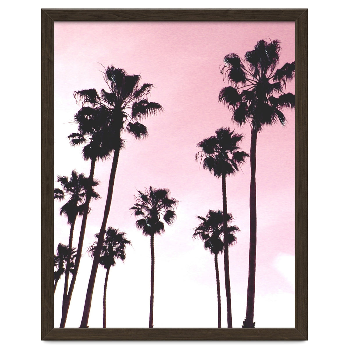 Palms & Sunset
