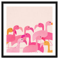 Florida Flamingos