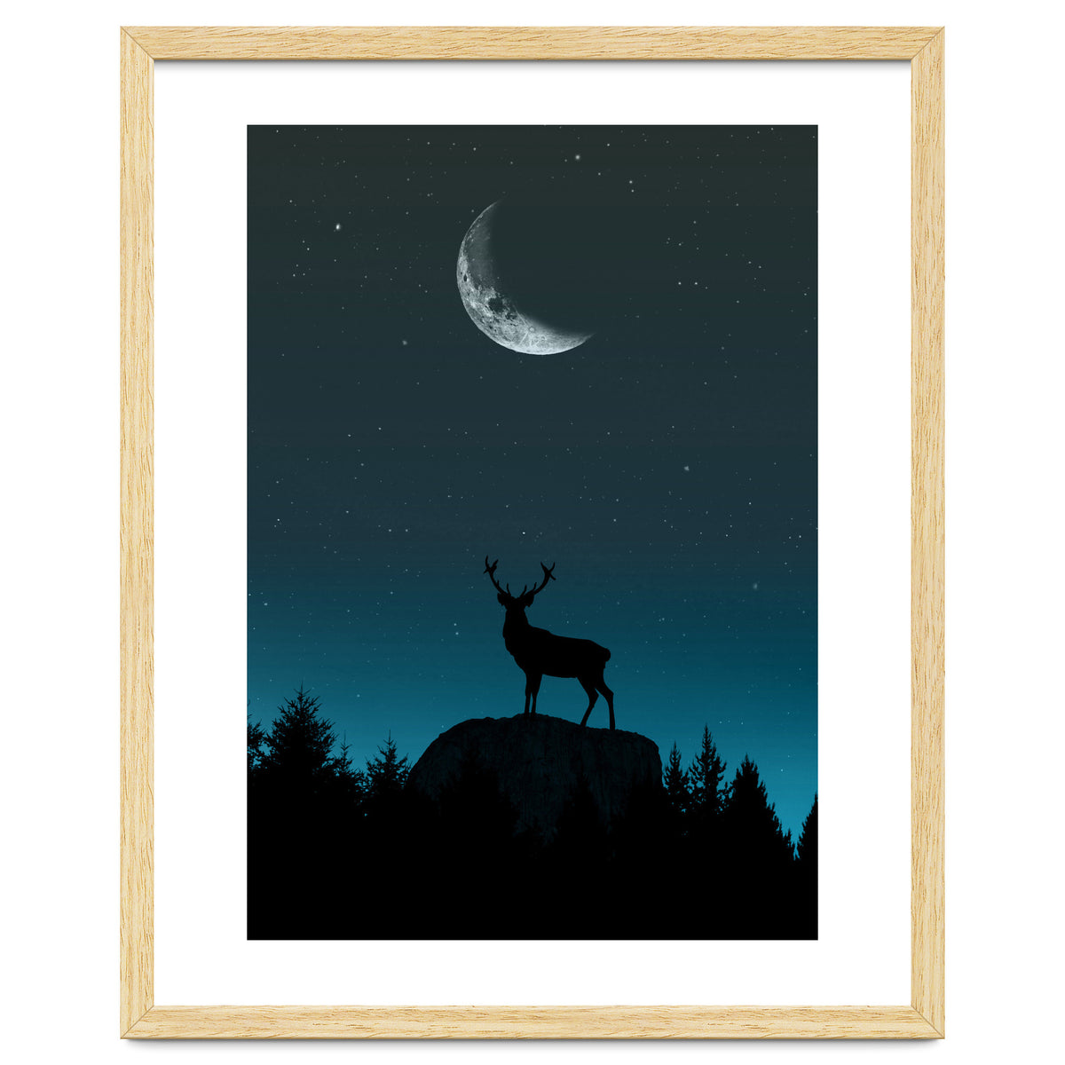 Wild Nature - Nocturne