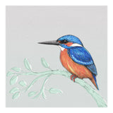 The kingfisher (Print Only) thumbnail