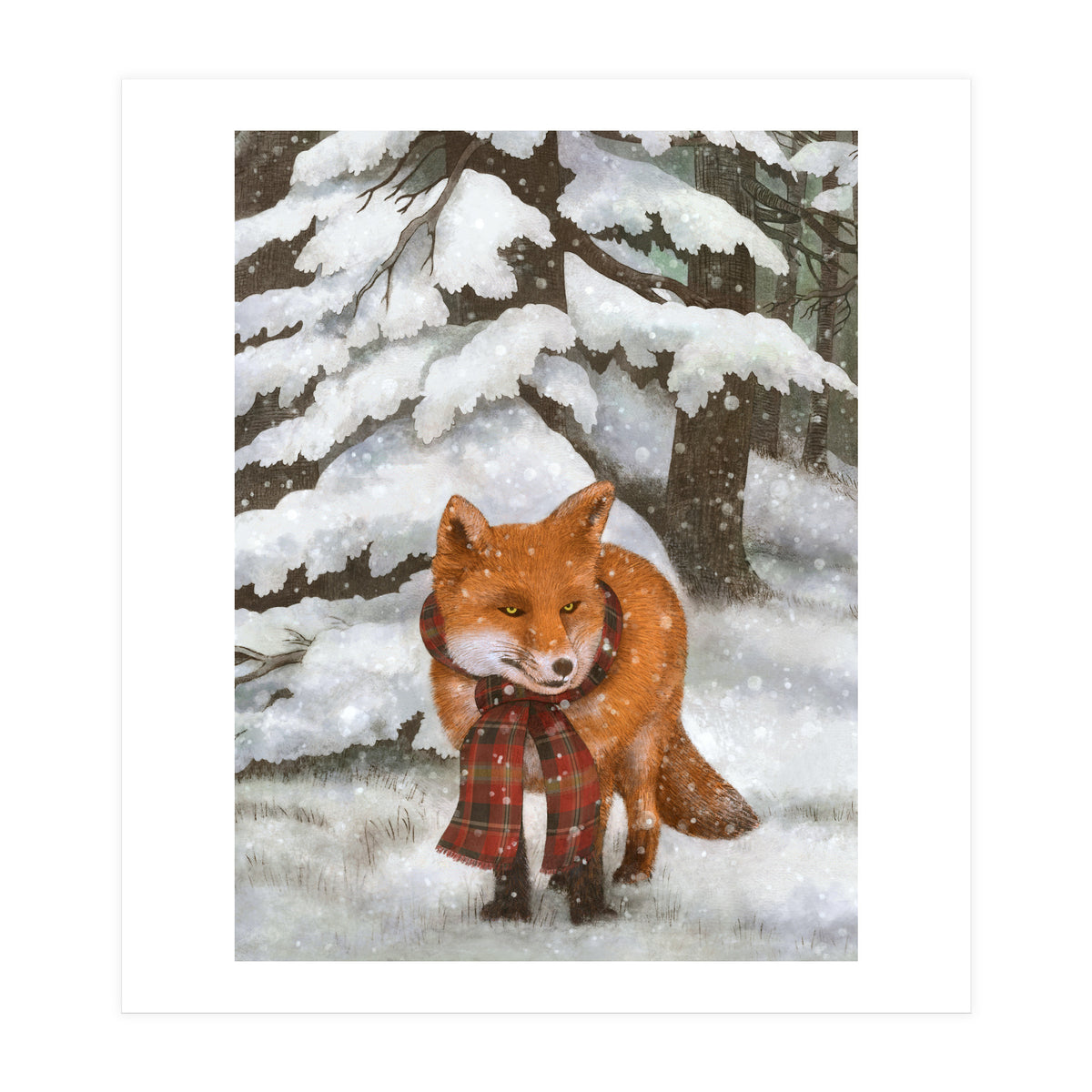 Winter Fox (Print Only)