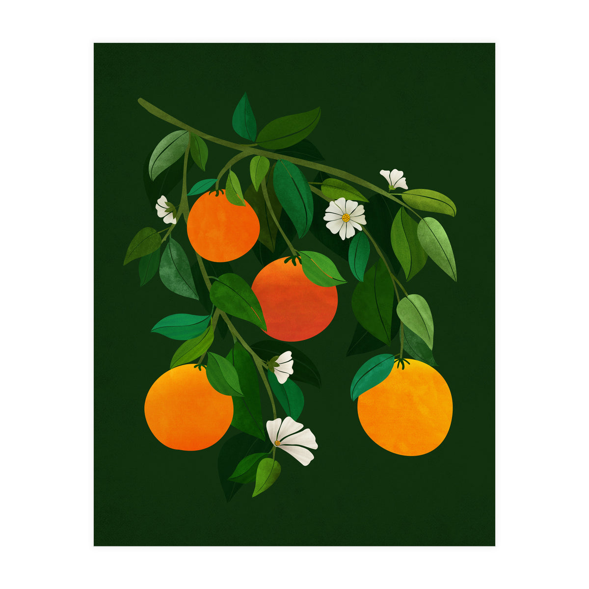 Oranges and Blossoms (Print Only)