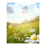 Nature (Print Only) thumbnail