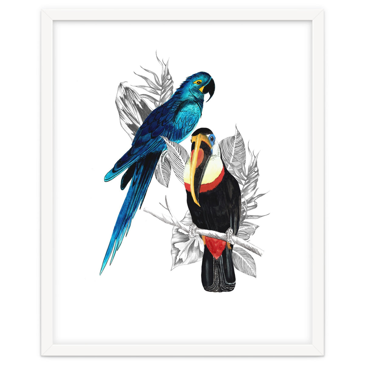 The Toucan and the Parrot