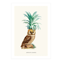 Pineapple Owl Vintage (Print Only)