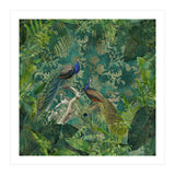 Mystic Peacocks (Print Only) thumbnail