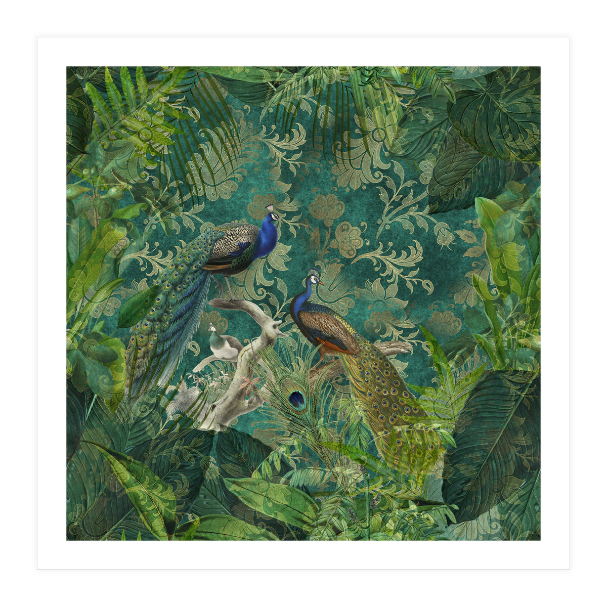 Mystic Peacocks (Print Only)