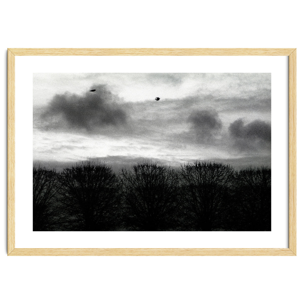 Winter mornig in Paris