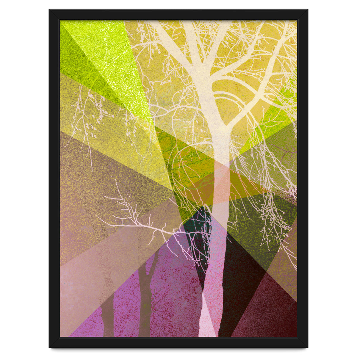 P22 A Trees And Triangles