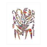 Planta Salvaje 24 Copia (Print Only) thumbnail