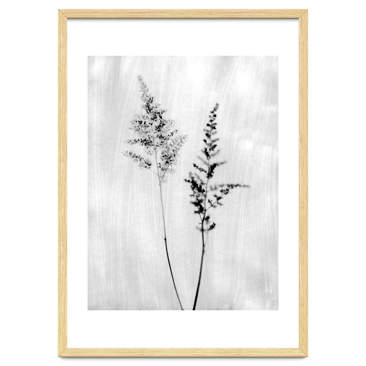 Delicate Wildflowers