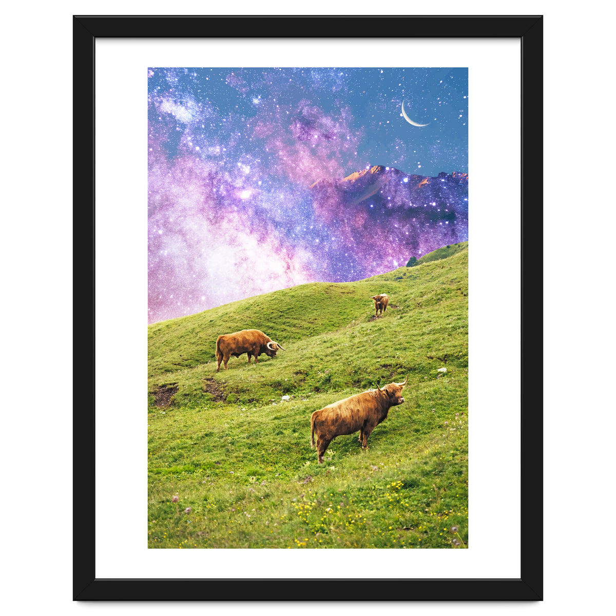 Space Cow Series II