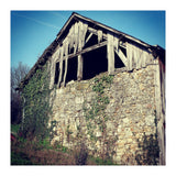 14 Fb156 B 6832 4 Ef7 9846 7817 Eea32976 (Print Only) thumbnail