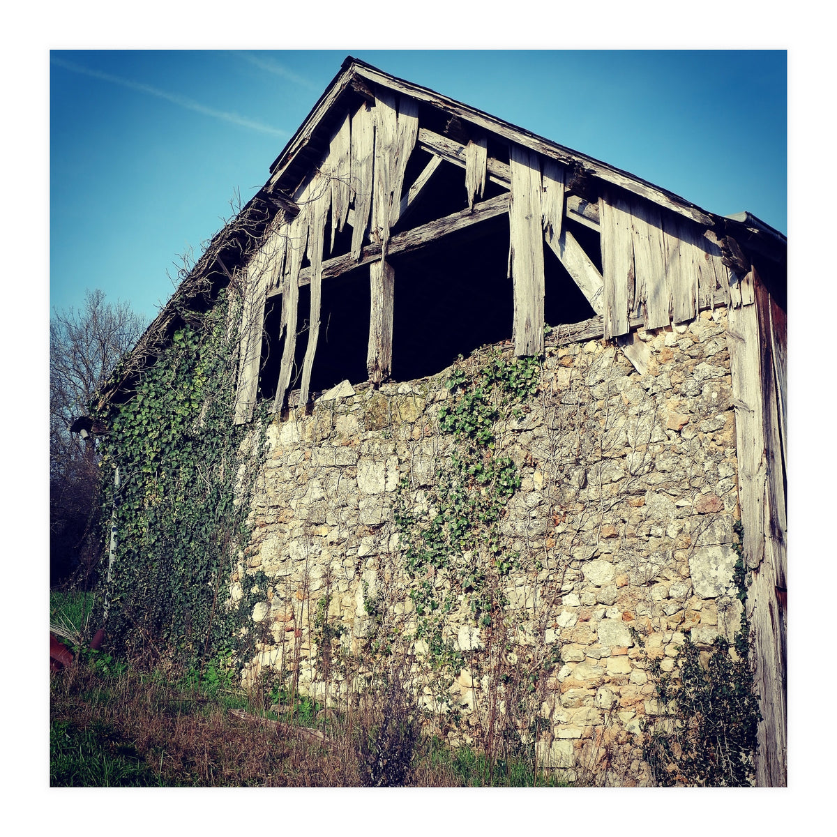 14 Fb156 B 6832 4 Ef7 9846 7817 Eea32976 (Print Only)