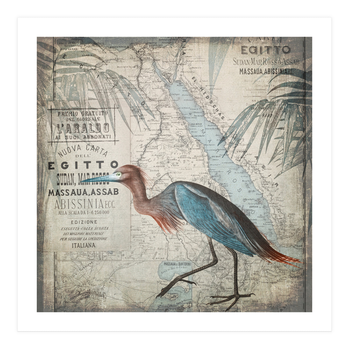 Egypt Heron (Print Only)