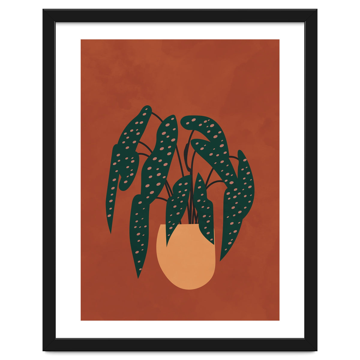 Boho Terracotta Begonia