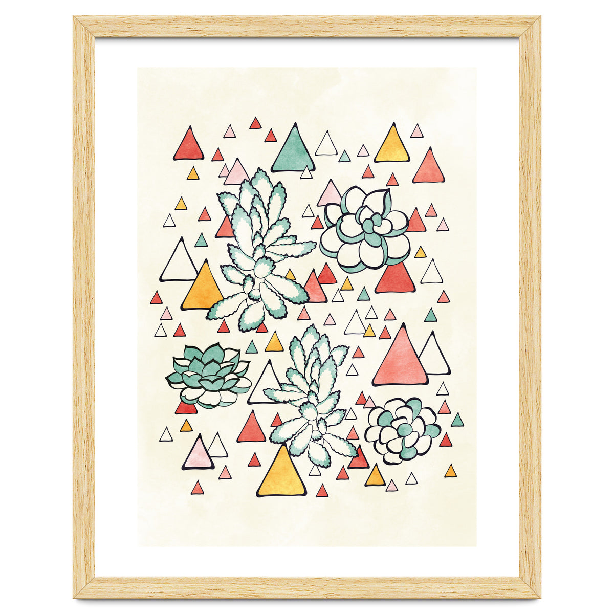 Succulent And Triangles