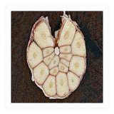 Garlic Italian Cuisine (Print Only) thumbnail