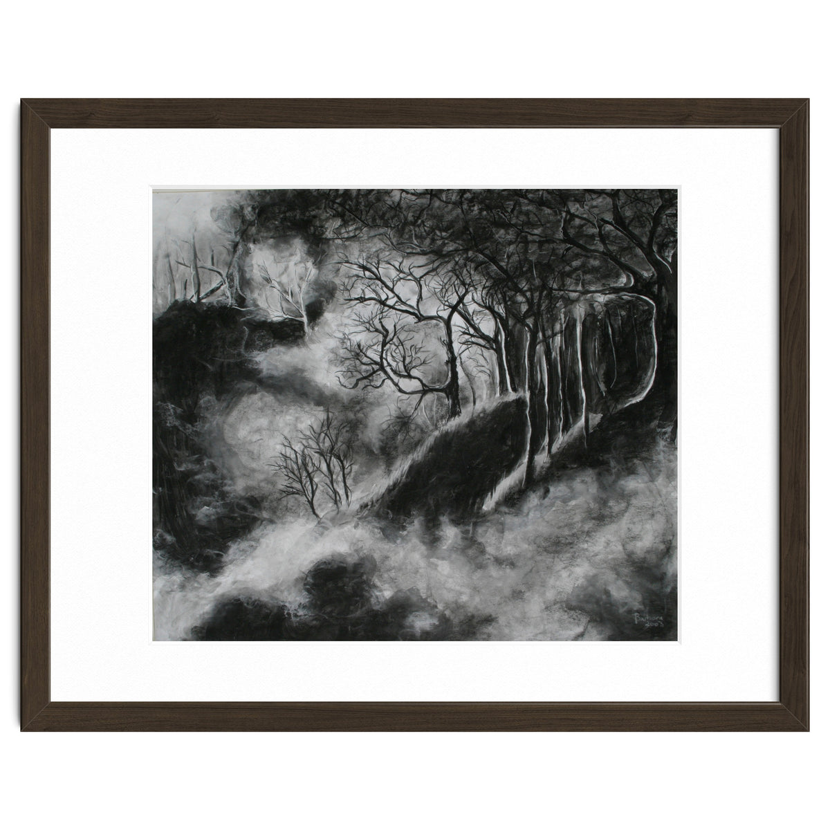 Black and White Forest in Clouds