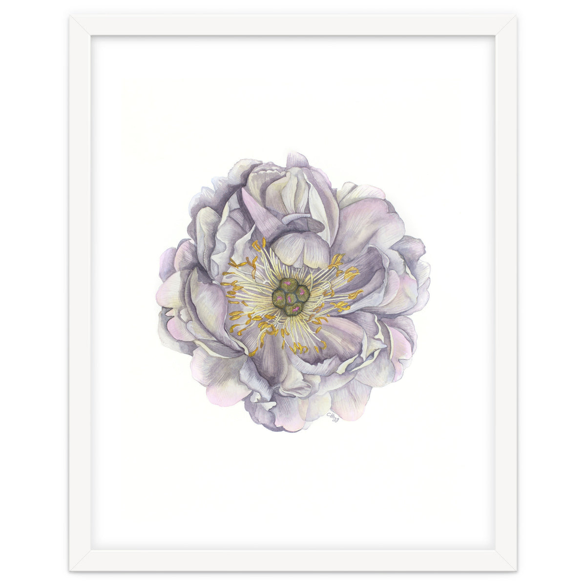 A Peony In Grey Std