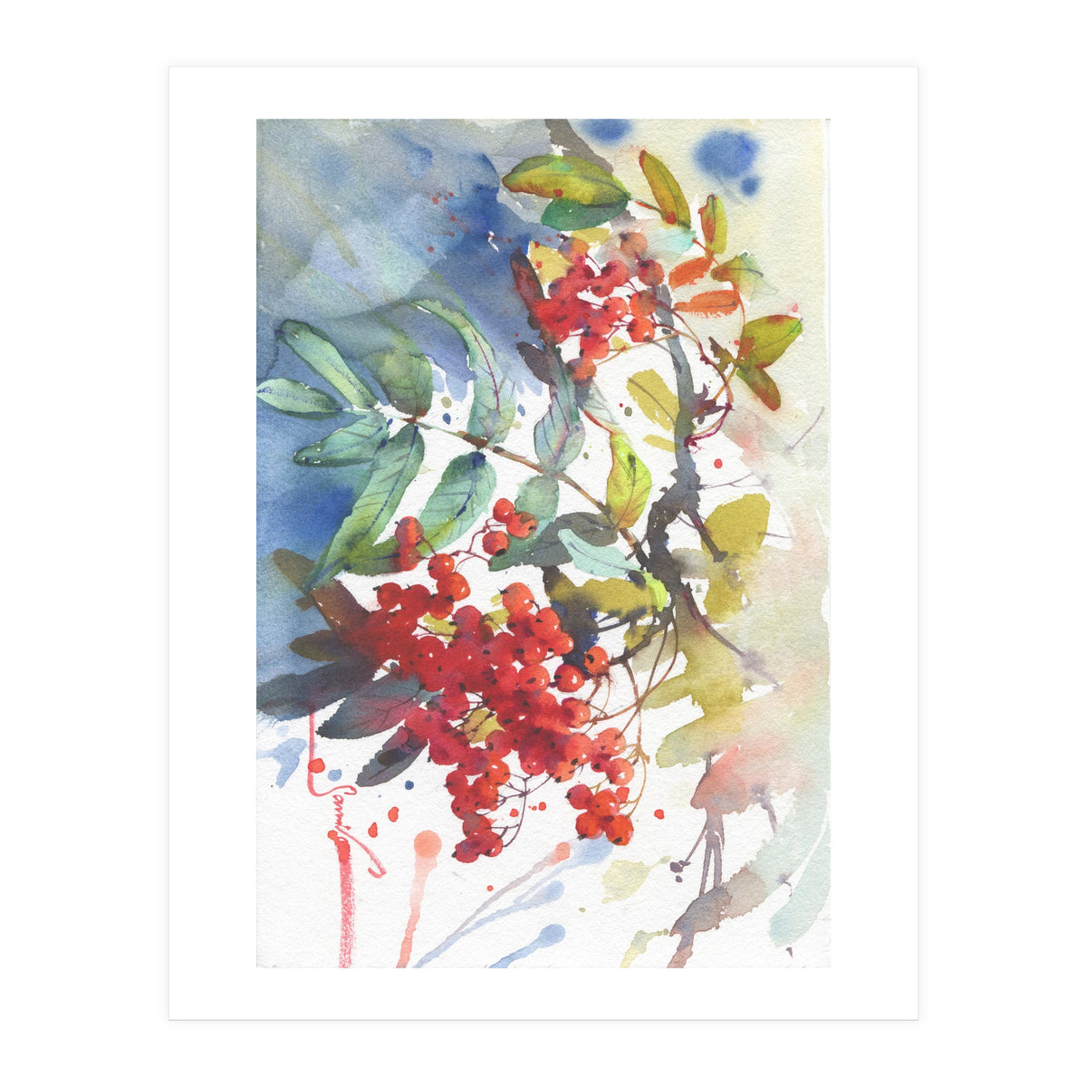 Viburnum / Guelder rose (Print Only)