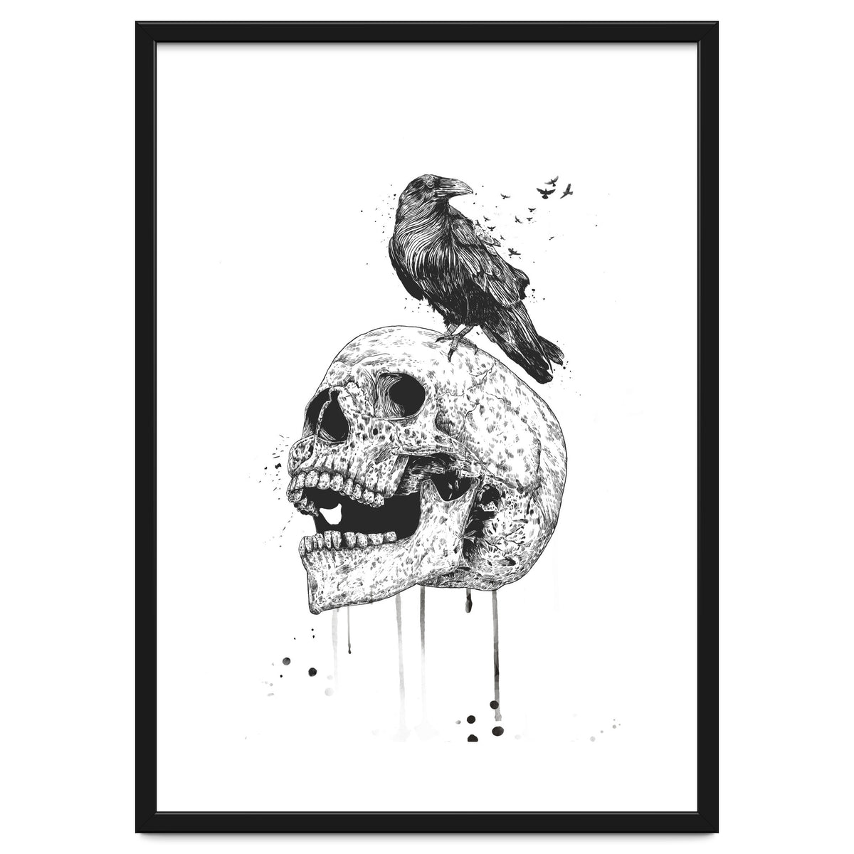 New Skull (bw)