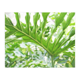 Green Leaf (Print Only) thumbnail