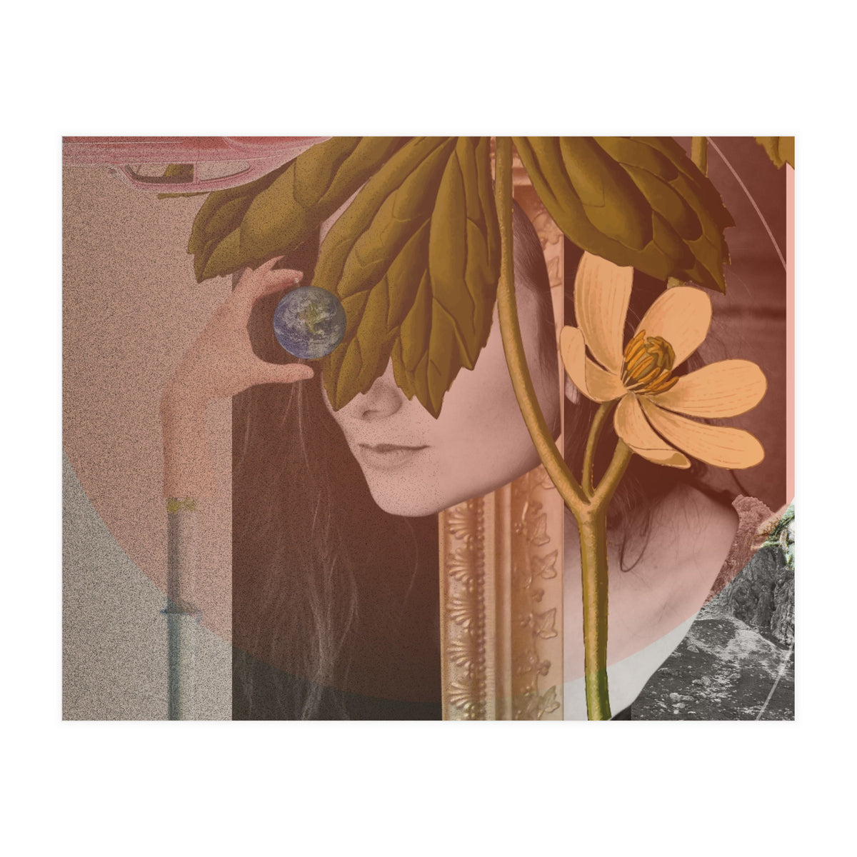 Dreamland Division · B (Print Only)