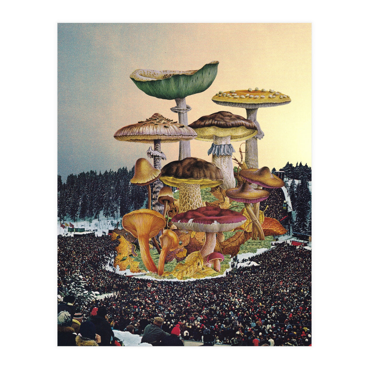 Mushroom Festival (Print Only)