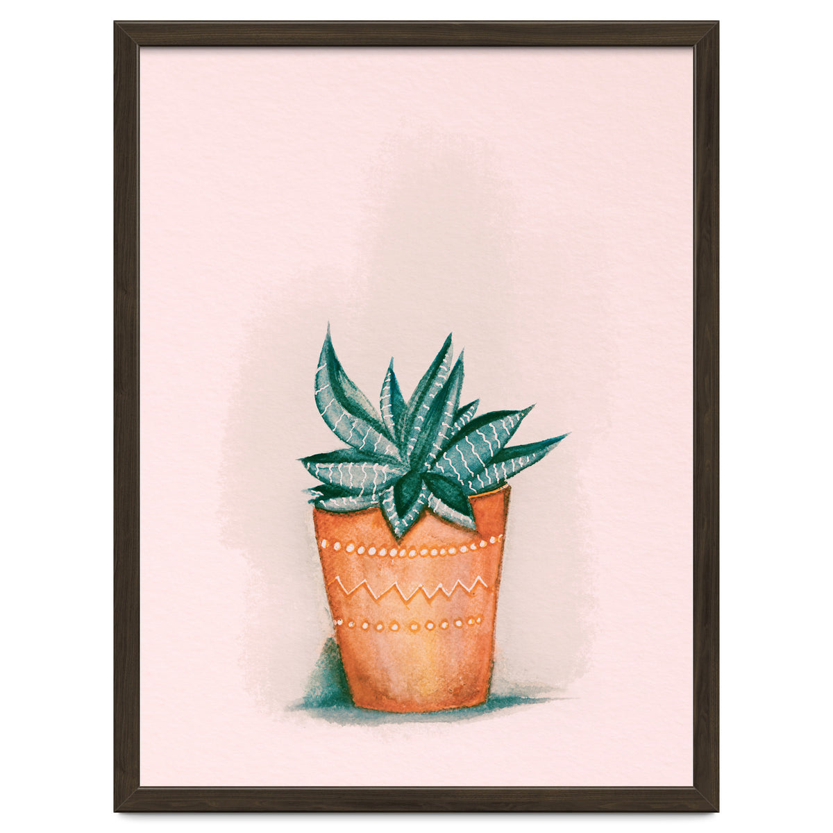 Aloe in orange pot