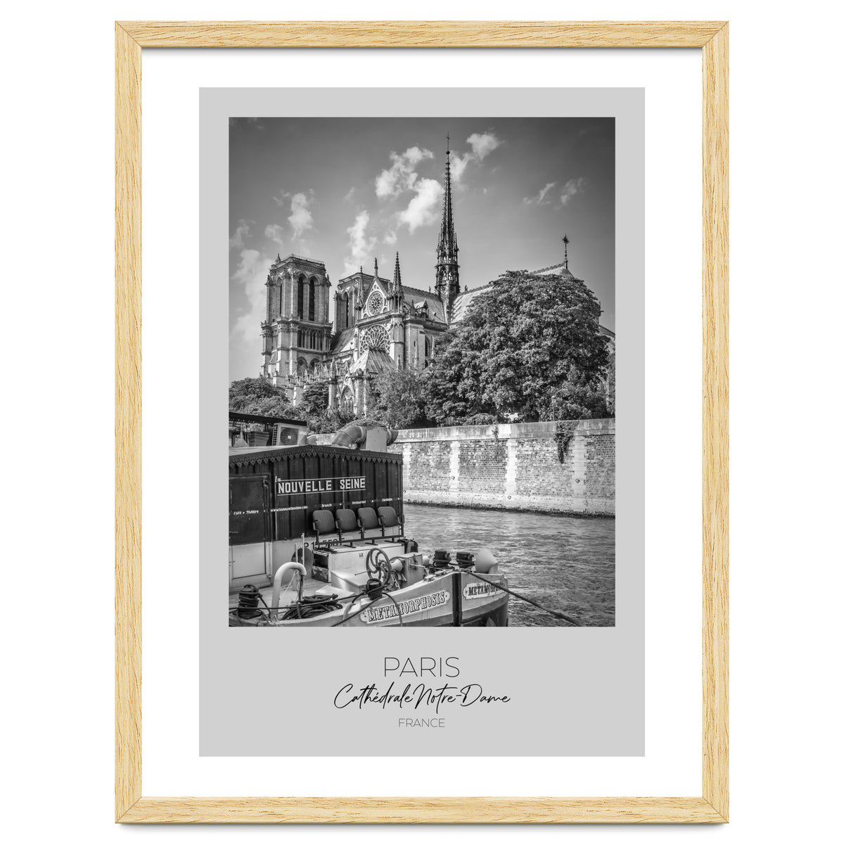 In focus: PARIS Cathedral Notre-Dame