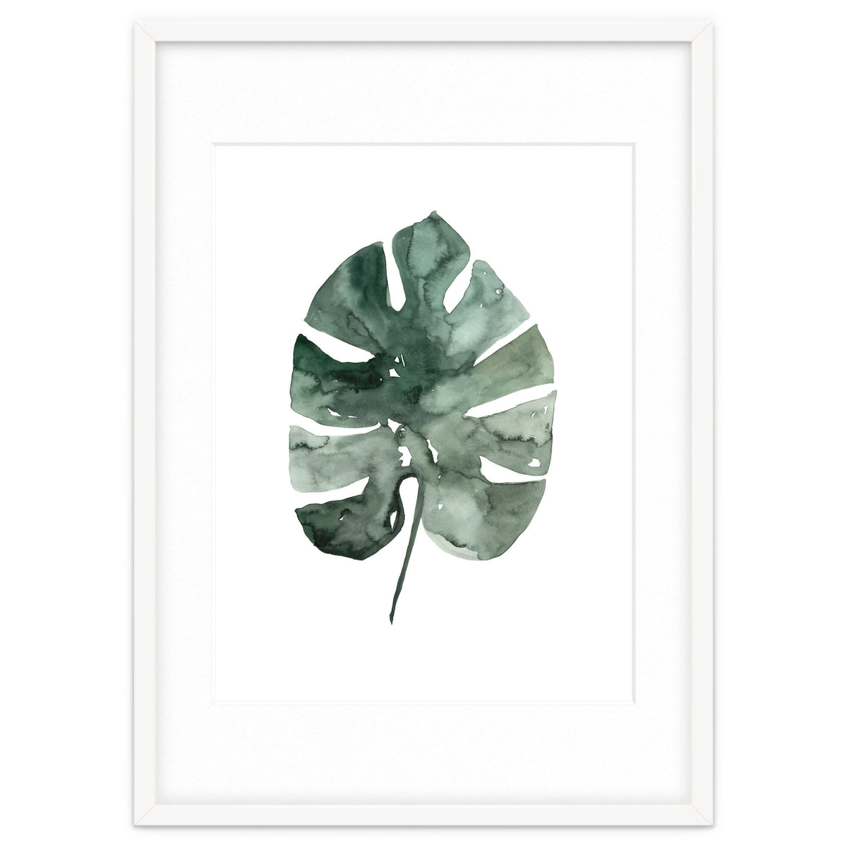 Botanical Illustration Monstera Leaf