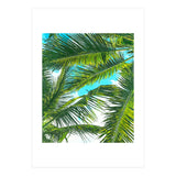 Life Is Better With Palm Trees (Print Only) thumbnail