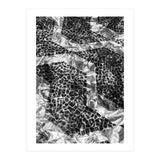 Sampa II (Print Only) thumbnail