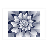 White Floral (Print Only) thumbnail