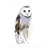 Owl (Print Only) thumbnail