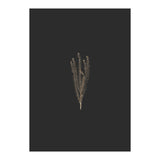 Delicate Fynbos Botanicals in Gold and Black (Print Only) thumbnail