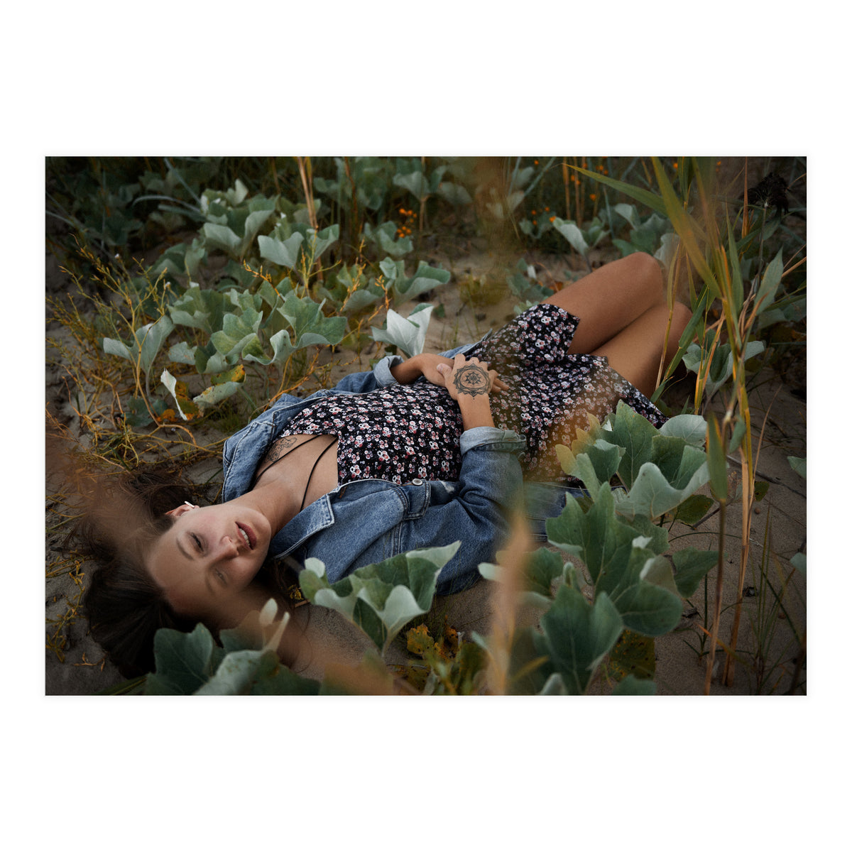 Northern Comfort (Print Only)