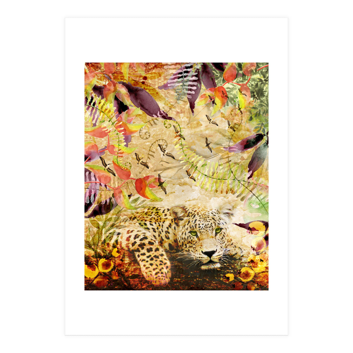 A Life Wild (Print Only)