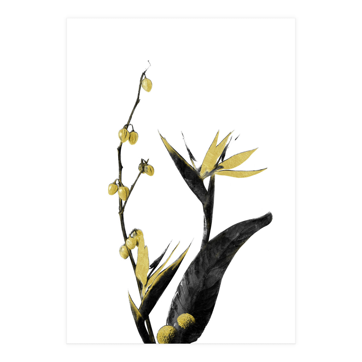 Flower Minimal Black And Gold 02 (Print Only)